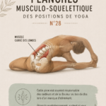 Une femme en train de pratiquer le yoga dans un parc, représentant l'harmonie entre le corps et l'esprit.
