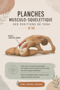 Une femme en train de pratiquer le yoga dans un parc, représentant l'harmonie entre le corps et l'esprit.