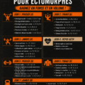 Entraînement musculaire pour ectomorphes avec exercices adaptés.