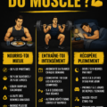 Femme faisant de l'exercice avec des poids pour augmenter sa masse musculaire.