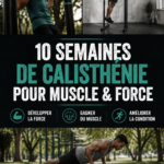 Femme s'entraînant avec des poids dans une salle de gym, illustrant un programme de musculation.