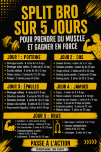 Programme de musculation hebdomadaire sur un tableau, mettant en avant une routine de 5 jours pour les femmes.