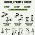 Femme effectuant des exercices de musculation pour le haut du corps