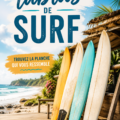 Différents types de planches de surf alignées sur la plage