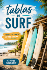 Différents types de planches de surf alignées sur la plage
