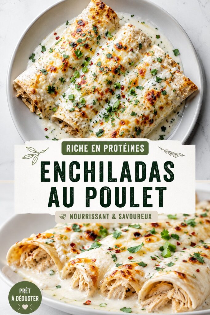 Image colorée d'enchiladas de poulet riches en protéines, garnies de légumes frais