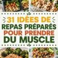 Plats variés de repas sains pour le développement musculaire