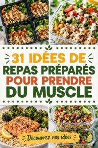 Plats variés de repas sains pour le développement musculaire