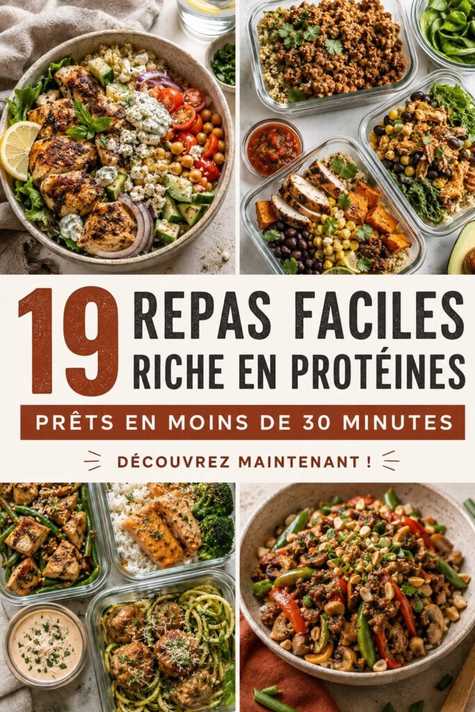 Plats colorés riches en protéines prêts à être dégustés