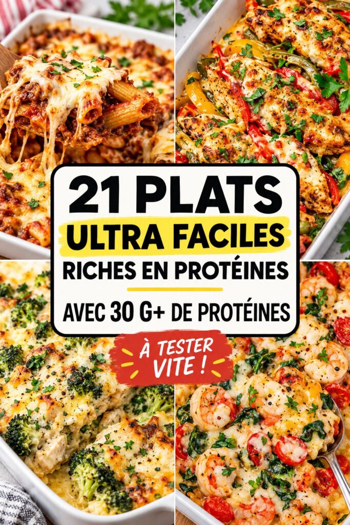 Assiette colorée de plats riches en protéines, idéale pour un repas sain