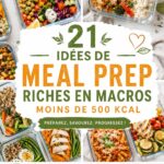 Une sélection de repas colorés et sains à moins de 500 kcal, présentés en plat.