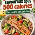 Assiette colorée de dîners savoureux à moins de 500 calories avec légumes frais et protéines maigres.